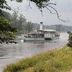 Sächsische Dampfschifffahrt - heute