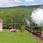 Sächsische IV K im Plandienst auf der Fichtelbergbahn 2