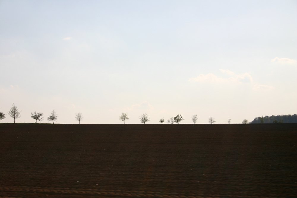 Sächsische Landschaft in der Abenddämmerung