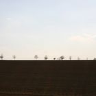 Sächsische Landschaft in der Abenddämmerung