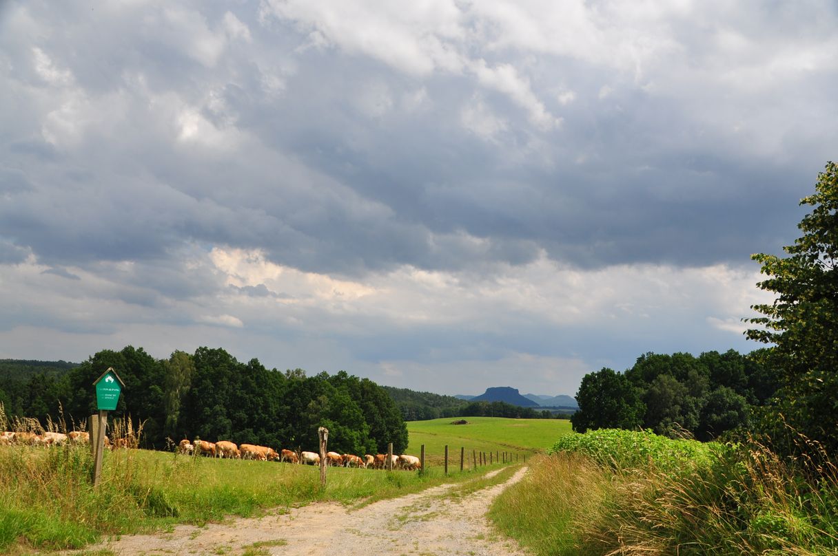 Sächsische Schweiz 2