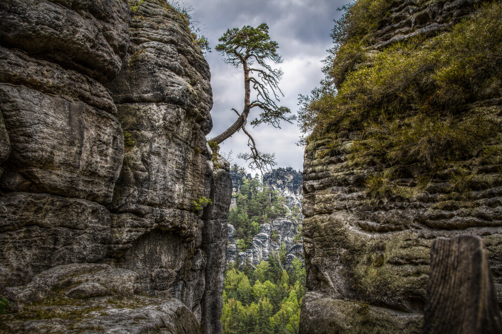 Sächsische Schweiz