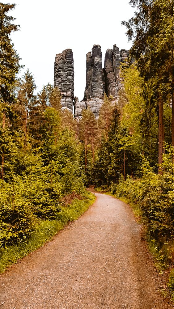 S chsische Schweiz Foto Bild landschaft wald baum S chsische Schweiz Foto Bild landschaft wald baum