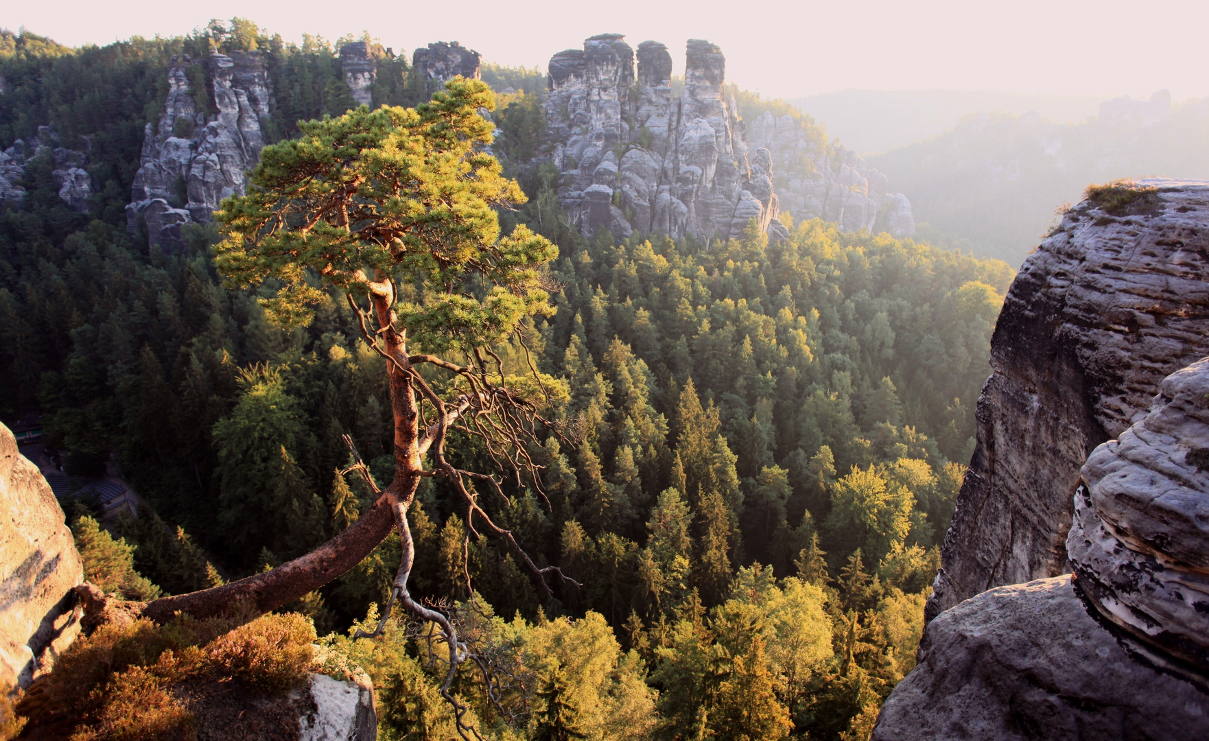 Sächsische Schweiz 3