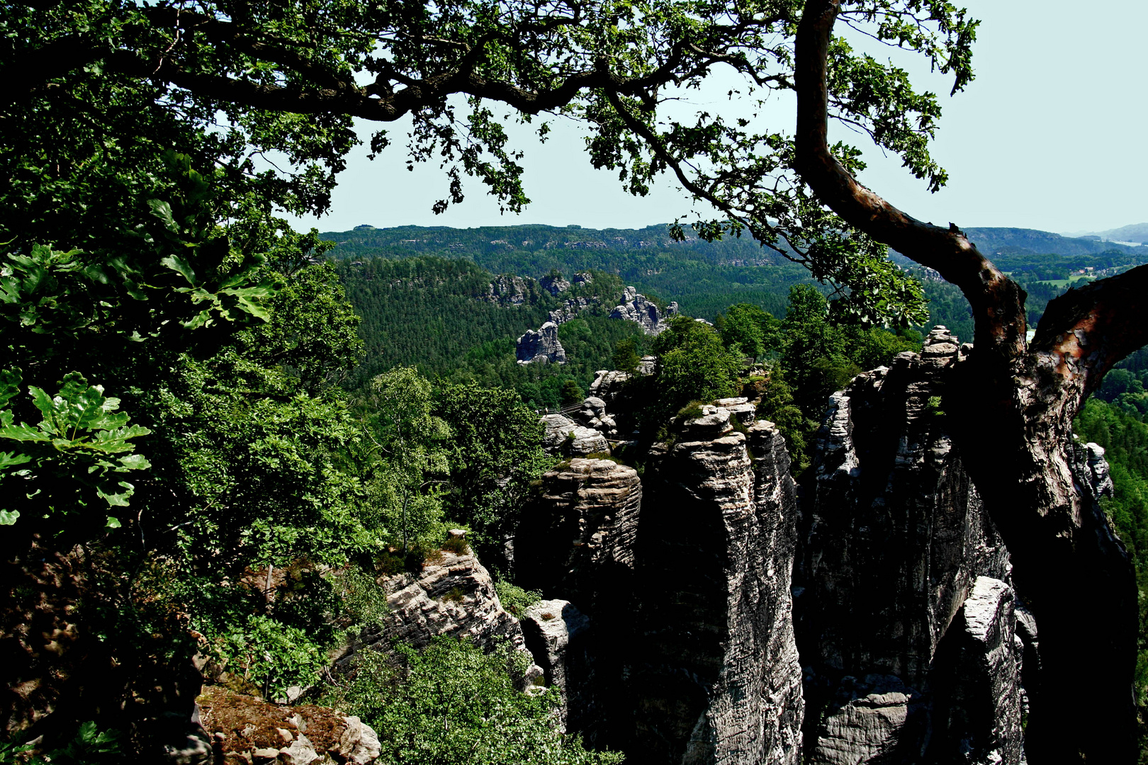 Sächsische Schweiz