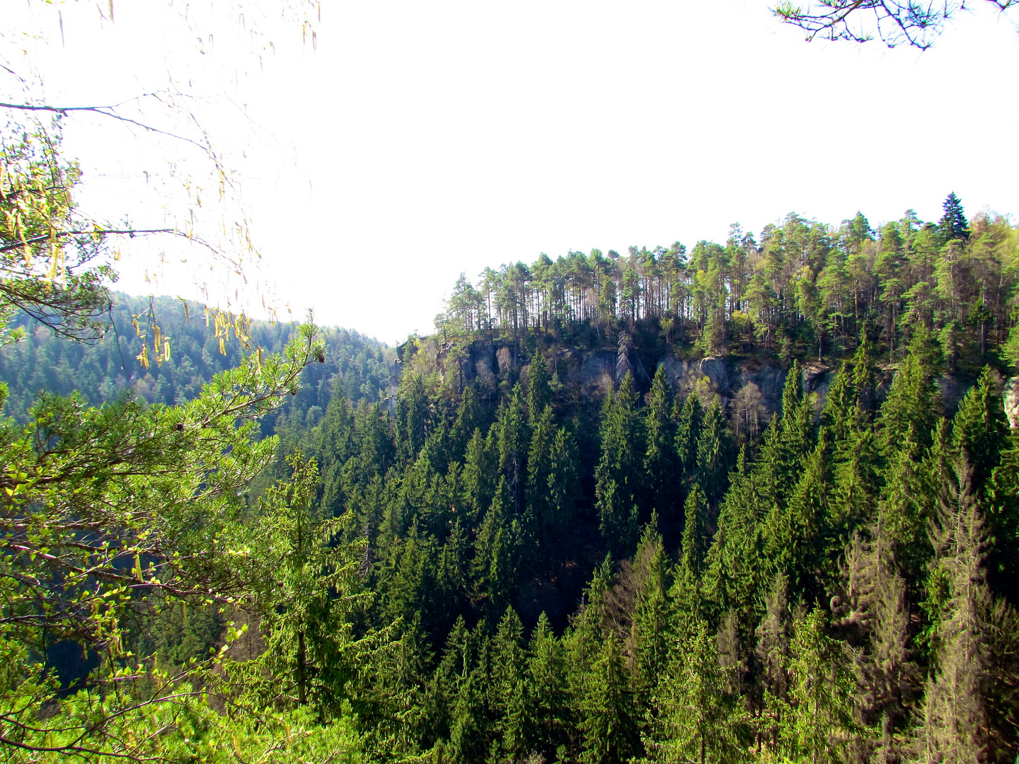 Sächsische Schweiz