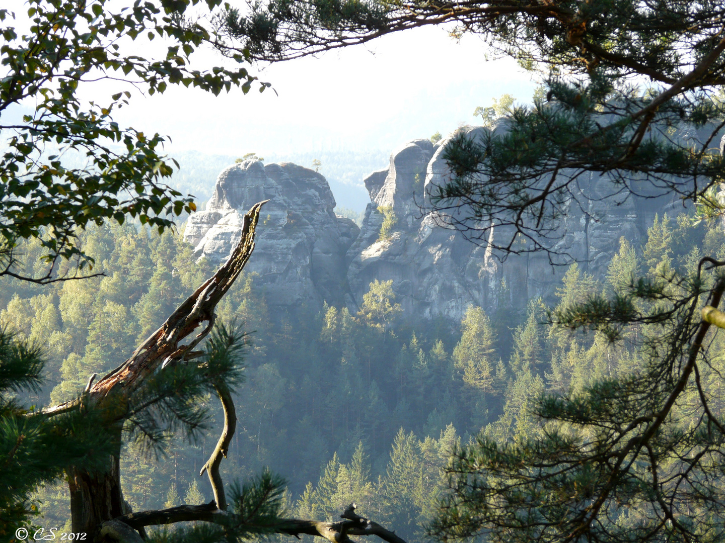 Sächsische Schweiz