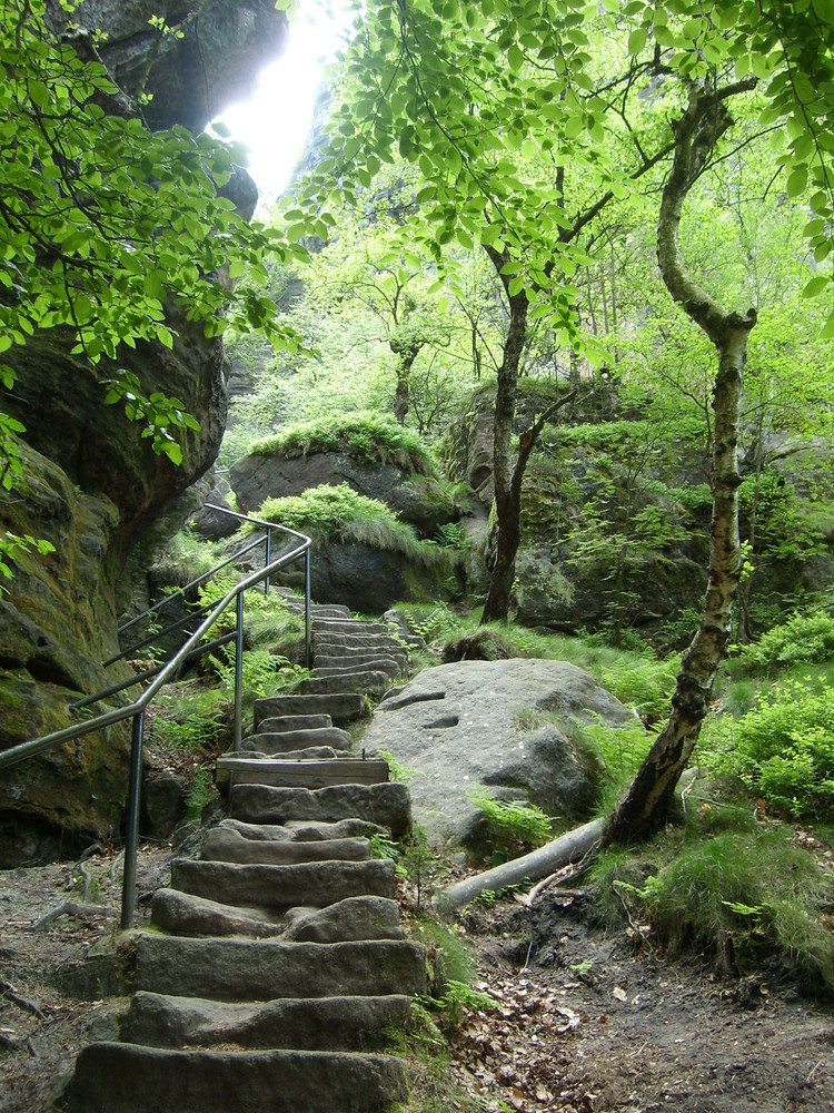 Sächsische Schweiz, Aufstieg zum Pfaffenstein