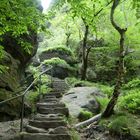 Sächsische Schweiz, Aufstieg zum Pfaffenstein