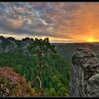 Sächsische Schweiz *Bastei*