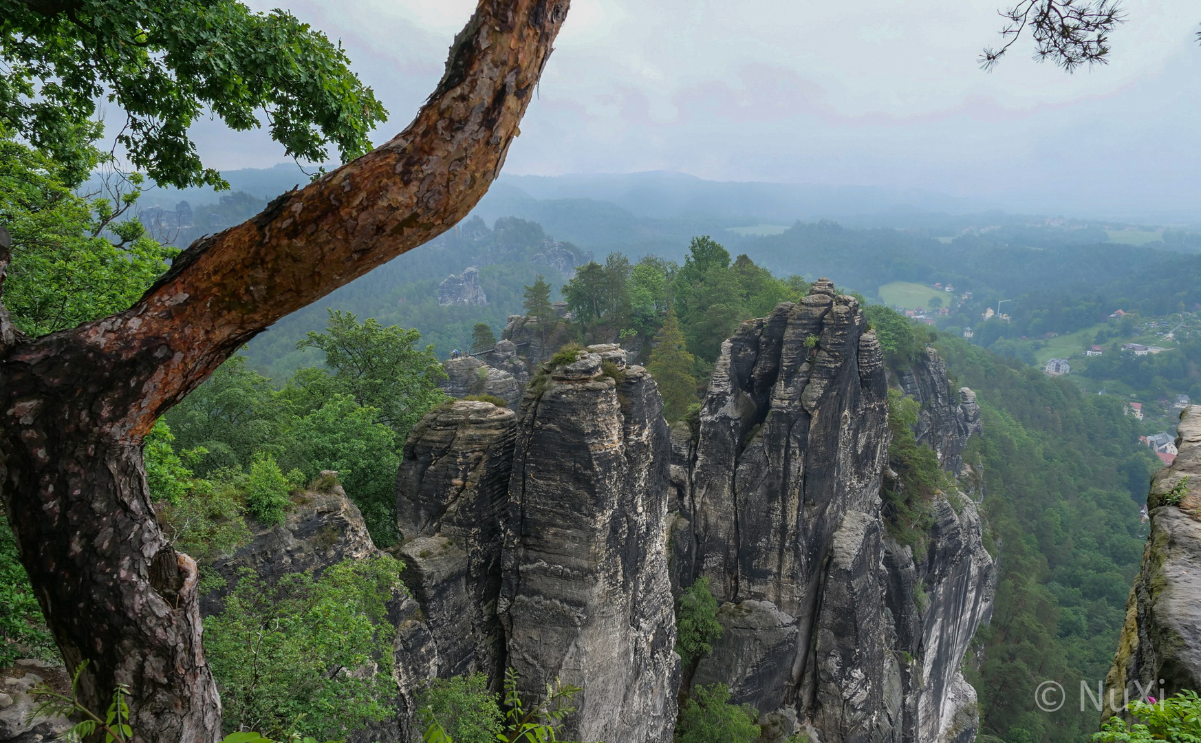 Sächsische Schweiz 