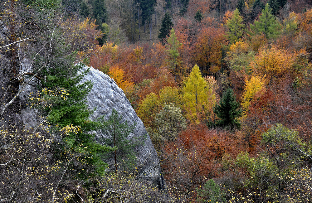 Sächsische Schweiz