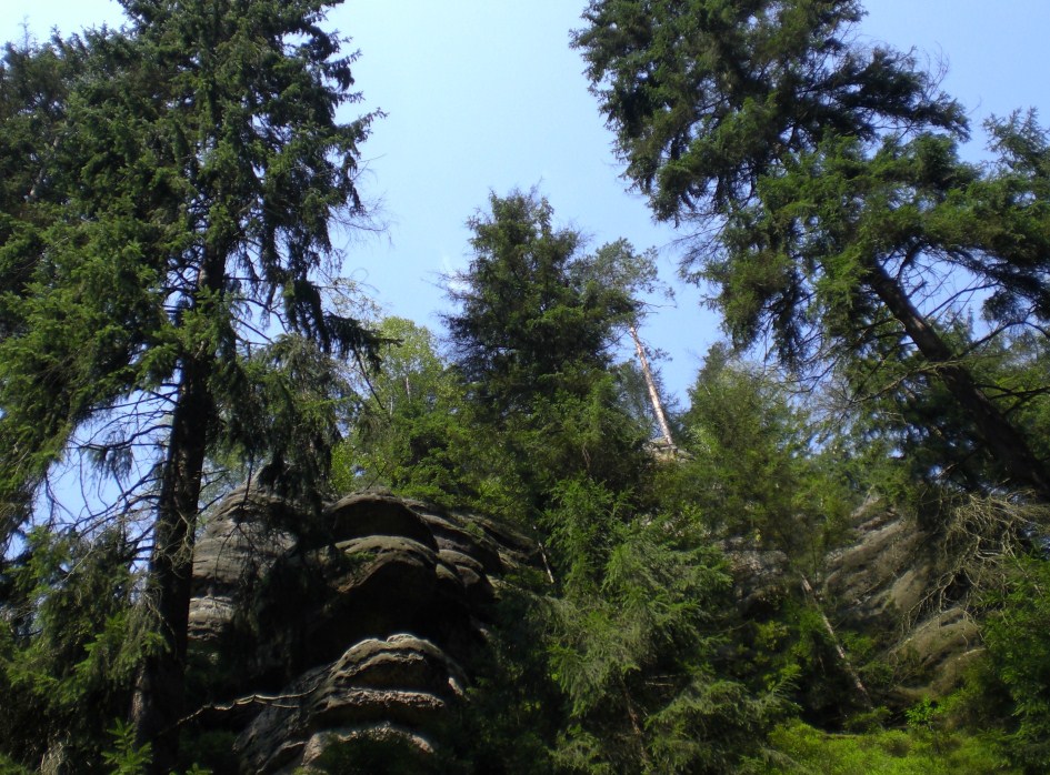 Sächsische Schweiz, Hinterhermsdorf - Obere Schleuse