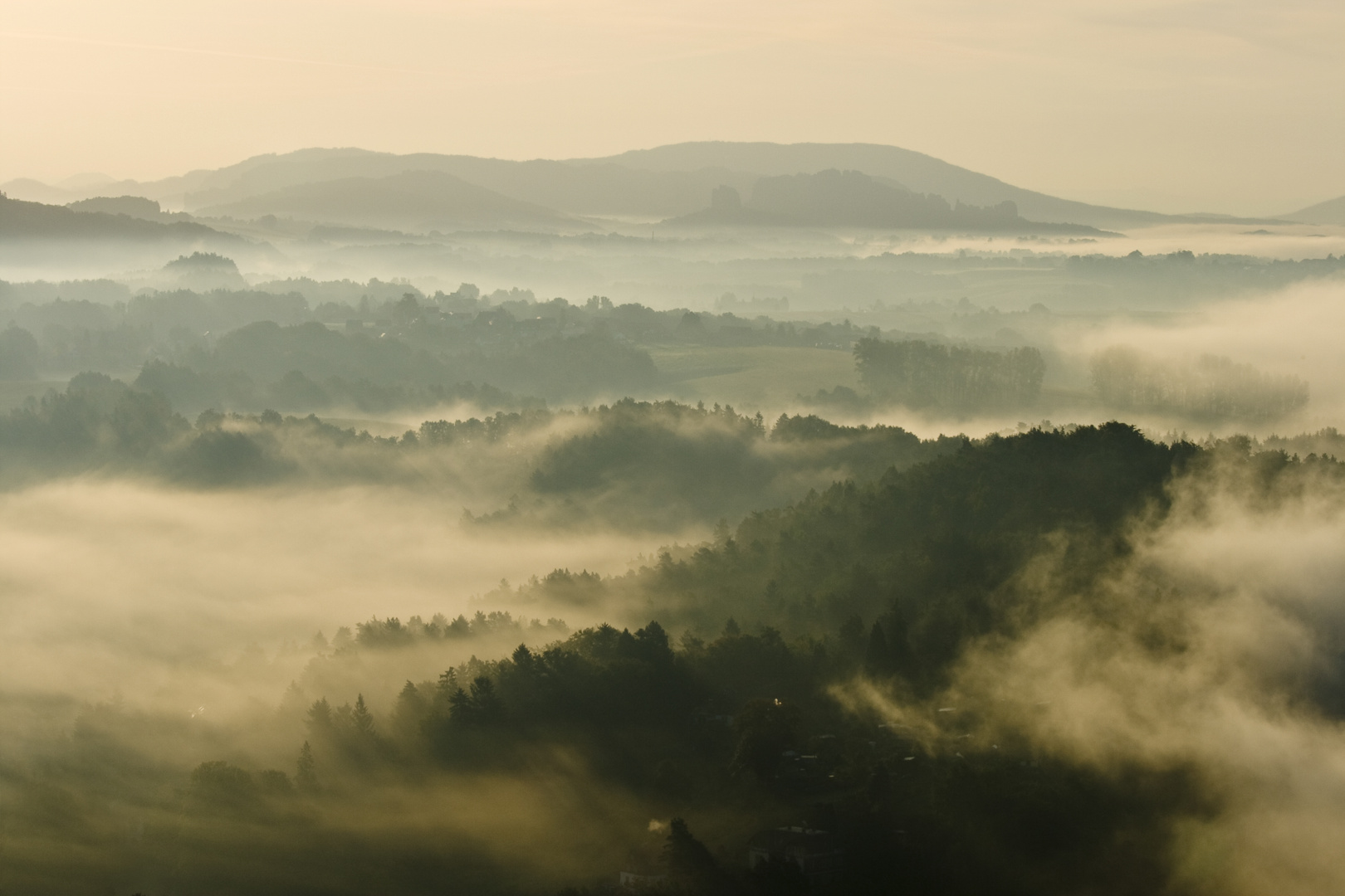 sächsische Schweiz im Morgennebel