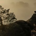 Sächsische Schweiz im Nebel