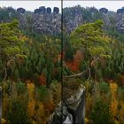 Sächsische Schweiz Kiefer Bastei (3D-X-View) 