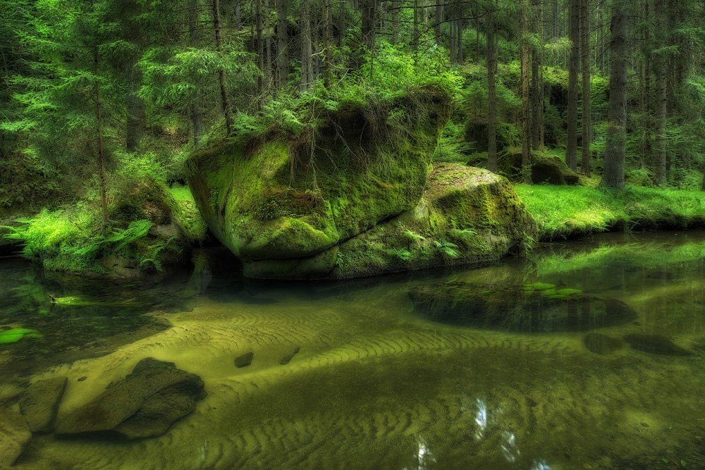 Sächsische Schweiz, Kirnitzschtal 2