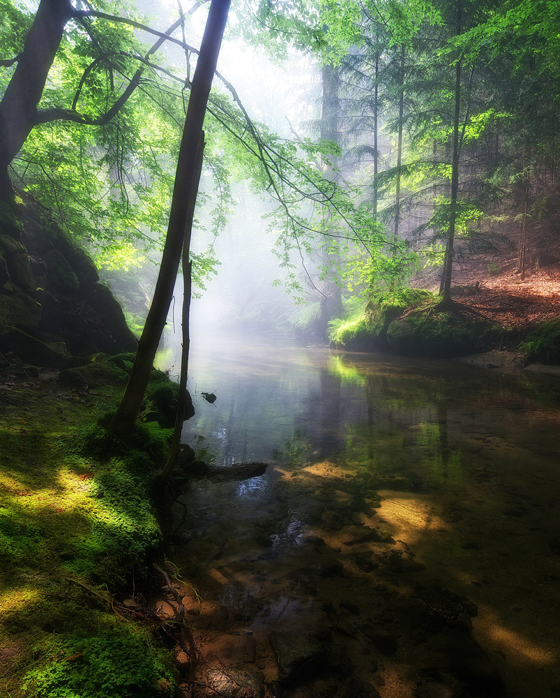 Sächsische Schweiz, Kirnitzschtal 4