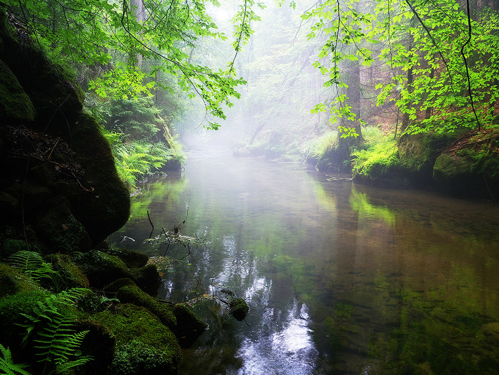 Sächsische Schweiz, Kirnitzschtal 5