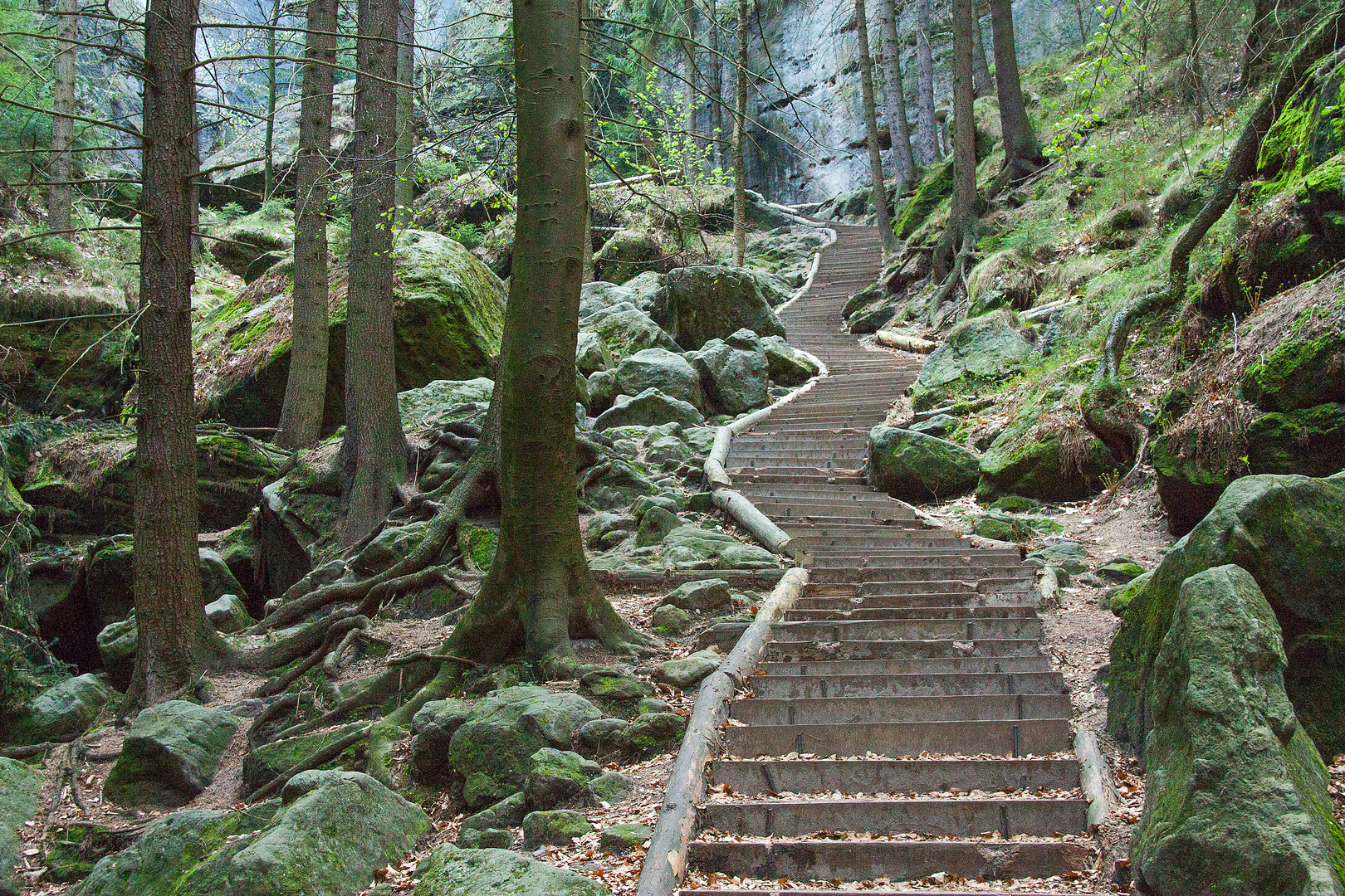 Sächsische Schweiz - Pfad