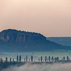 Sächsische Schweiz. Pfaffenstein im Morgennebel.