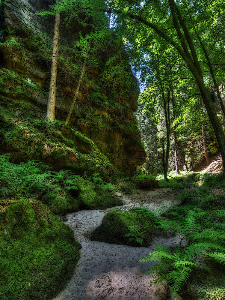 Sächsische Schweiz, Uttewalder Grund 1