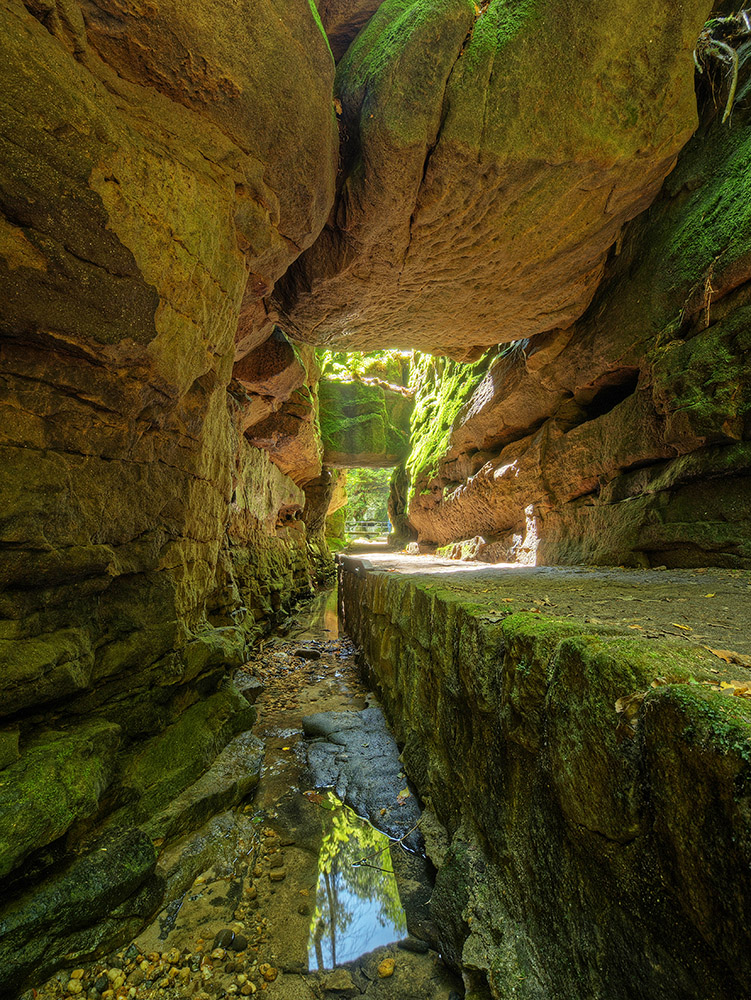 Sächsische Schweiz, Uttewalder Grund 2