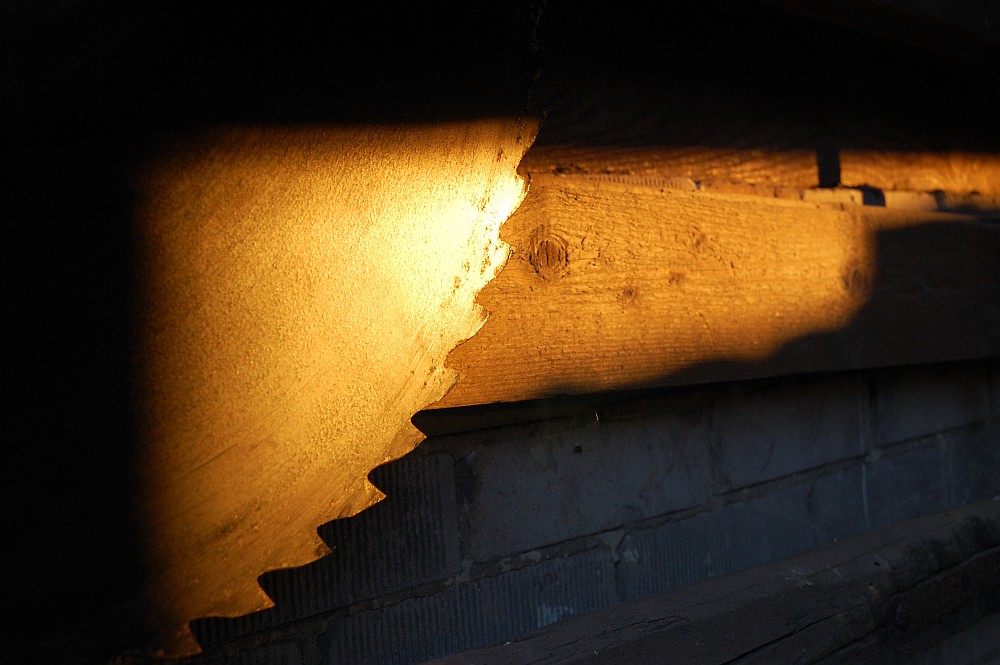 Sägeblatt im Sonnenuntergang