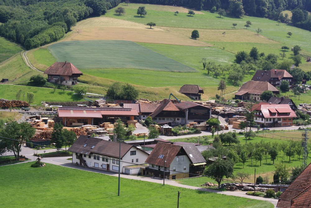 Sägewerk MESSMER in Welschensteinach