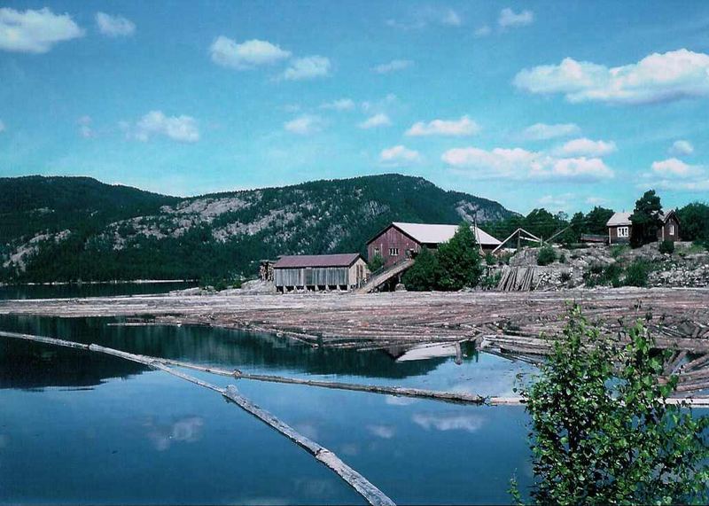 Sägewerk mit Floßholz