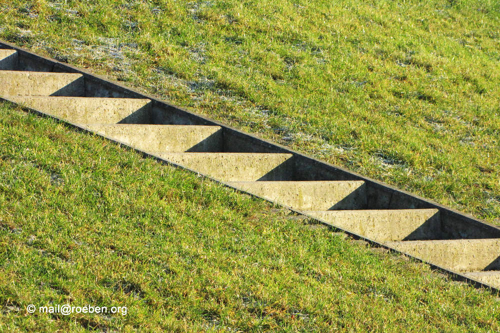 Sägezahn im Gras.