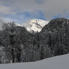 Säntis