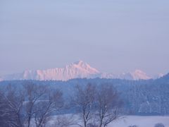 Säntis auf unserem Adlerhorst