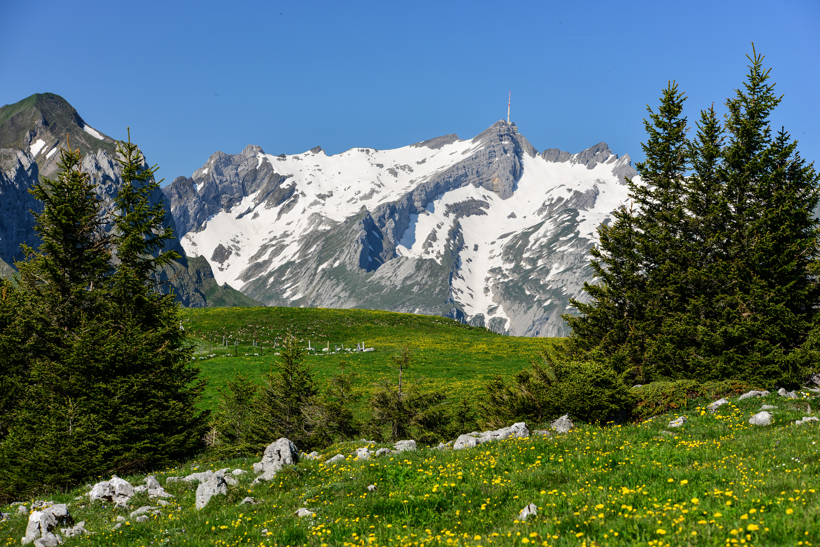 Säntis