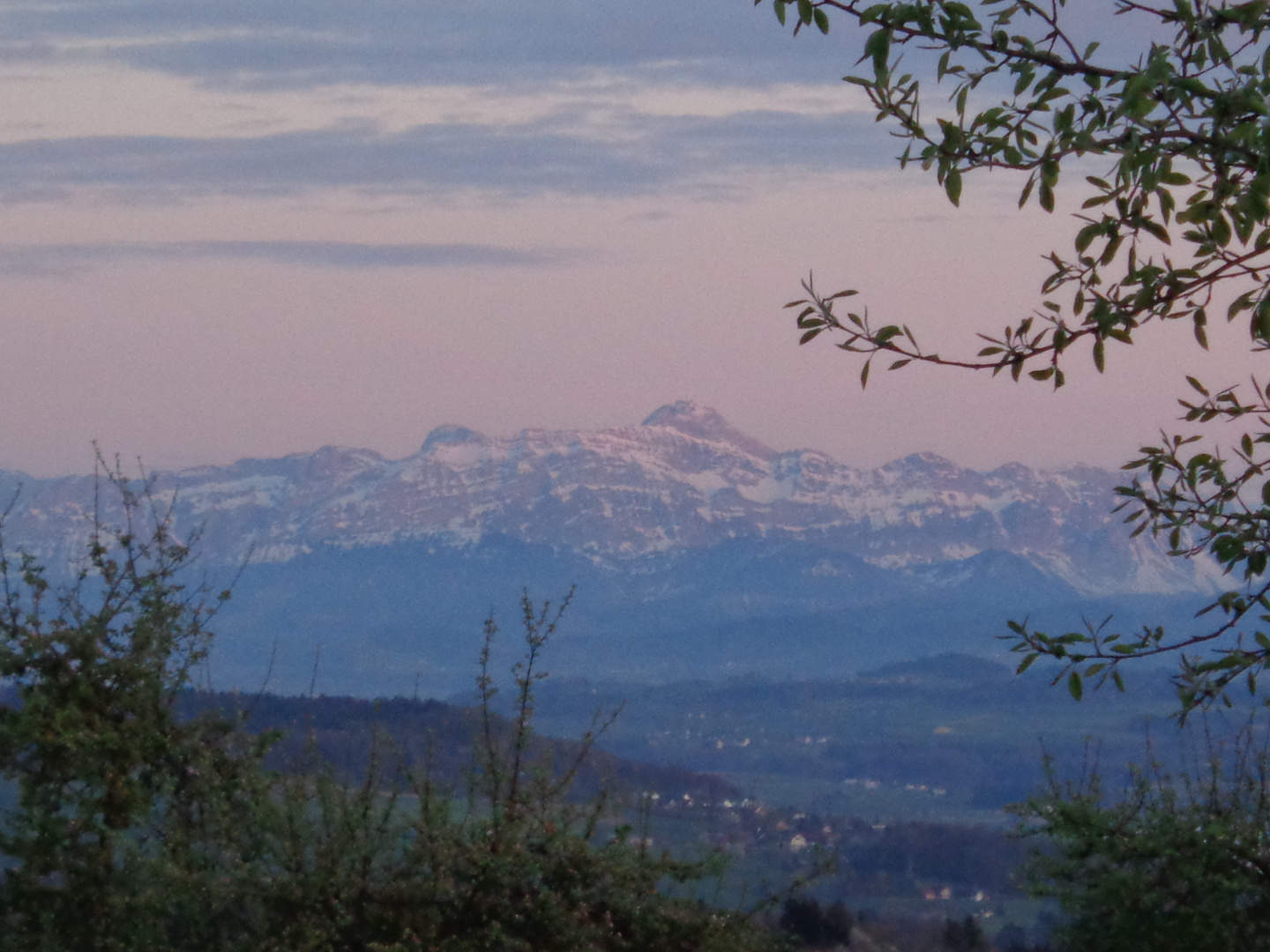 Säntis der berg mit abendsonne