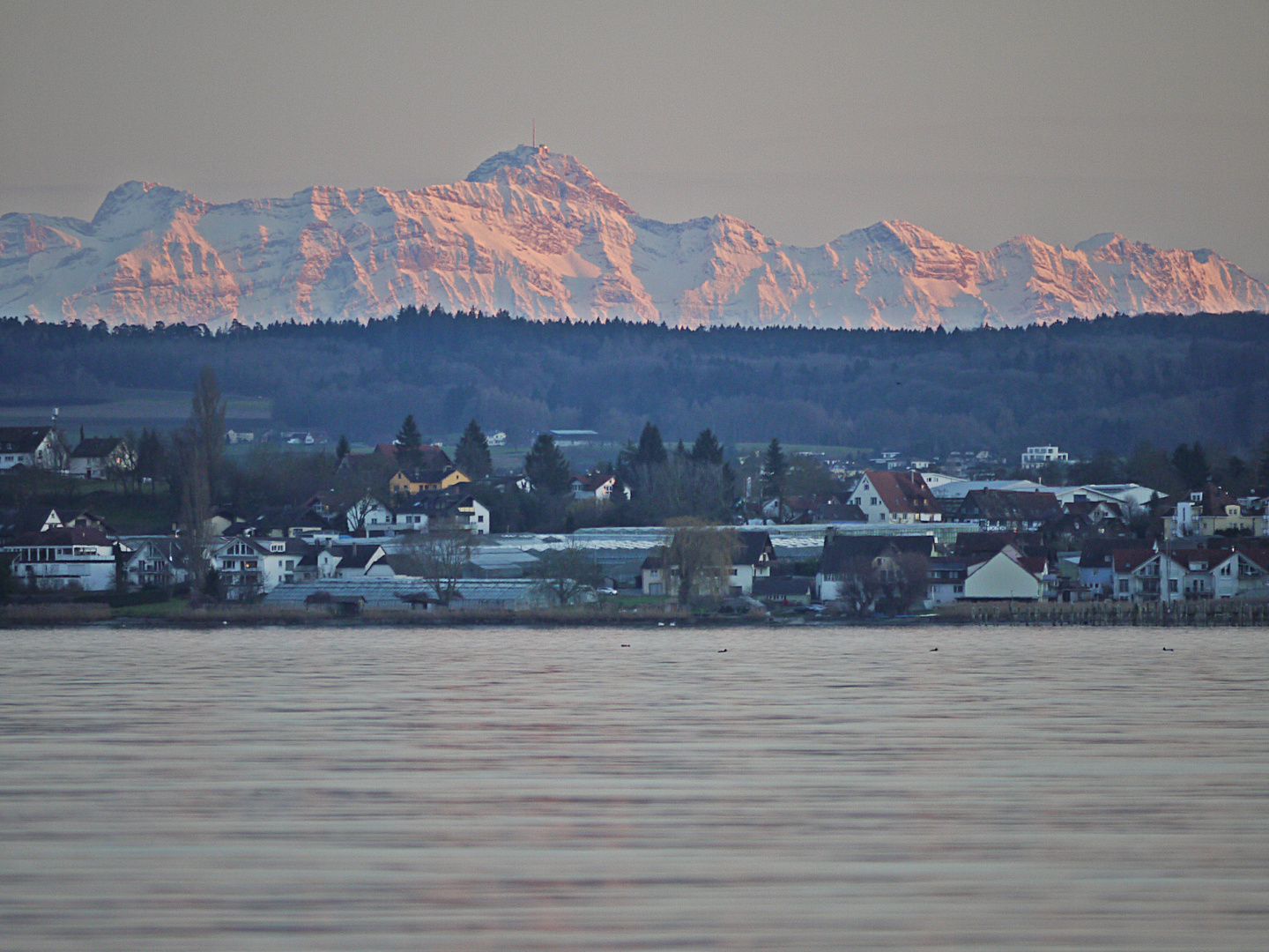 Säntis im Abendrot