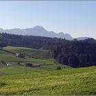 Säntis im Dunst