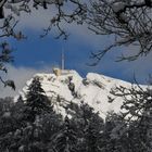 Säntis im Geäst