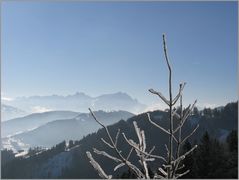 Säntis in der Ferne ...