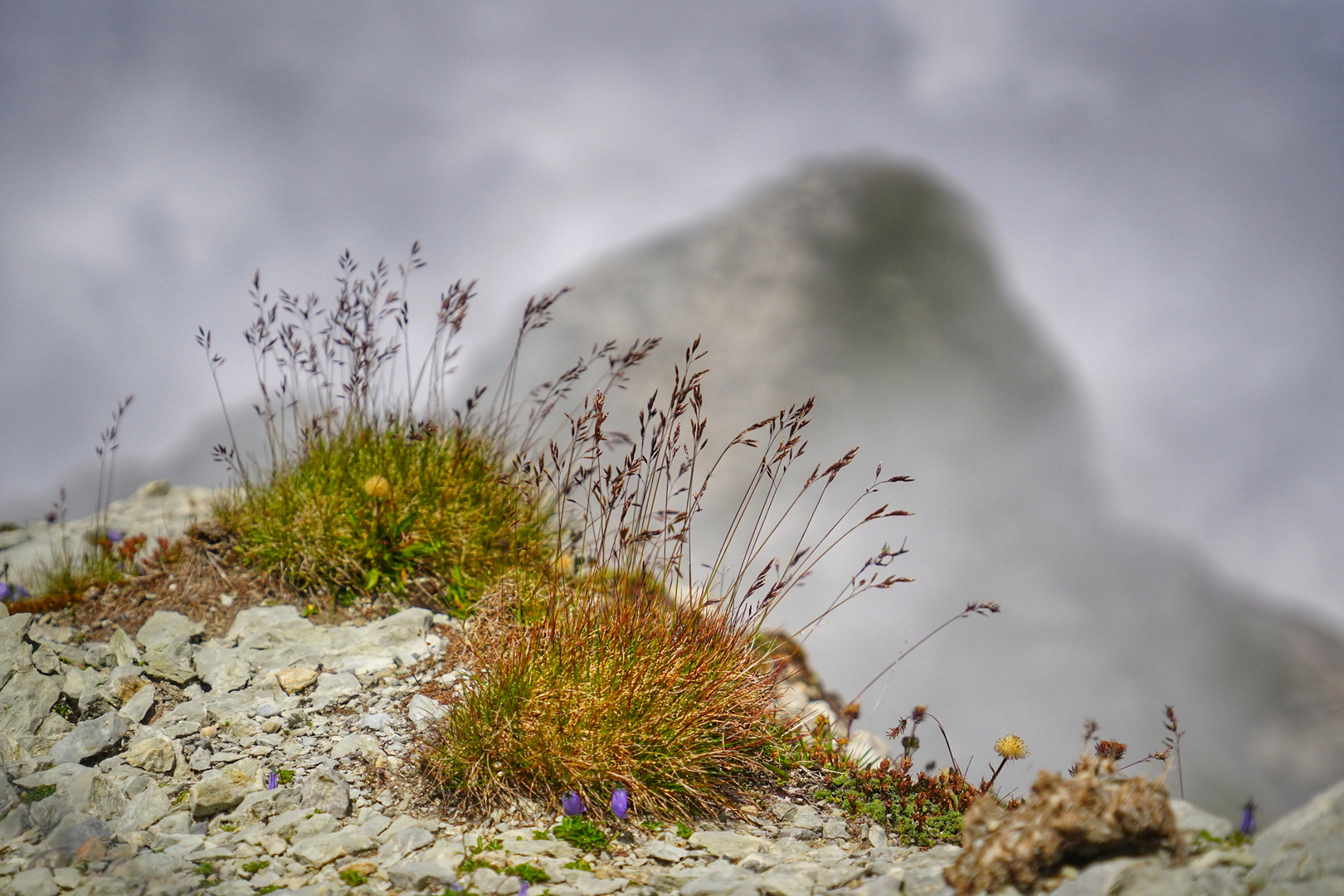 Säntis Momente... 