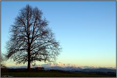 Säntis#4_170310