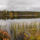 Särkijärvi