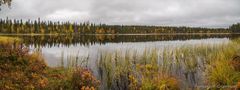 Särkijärvi