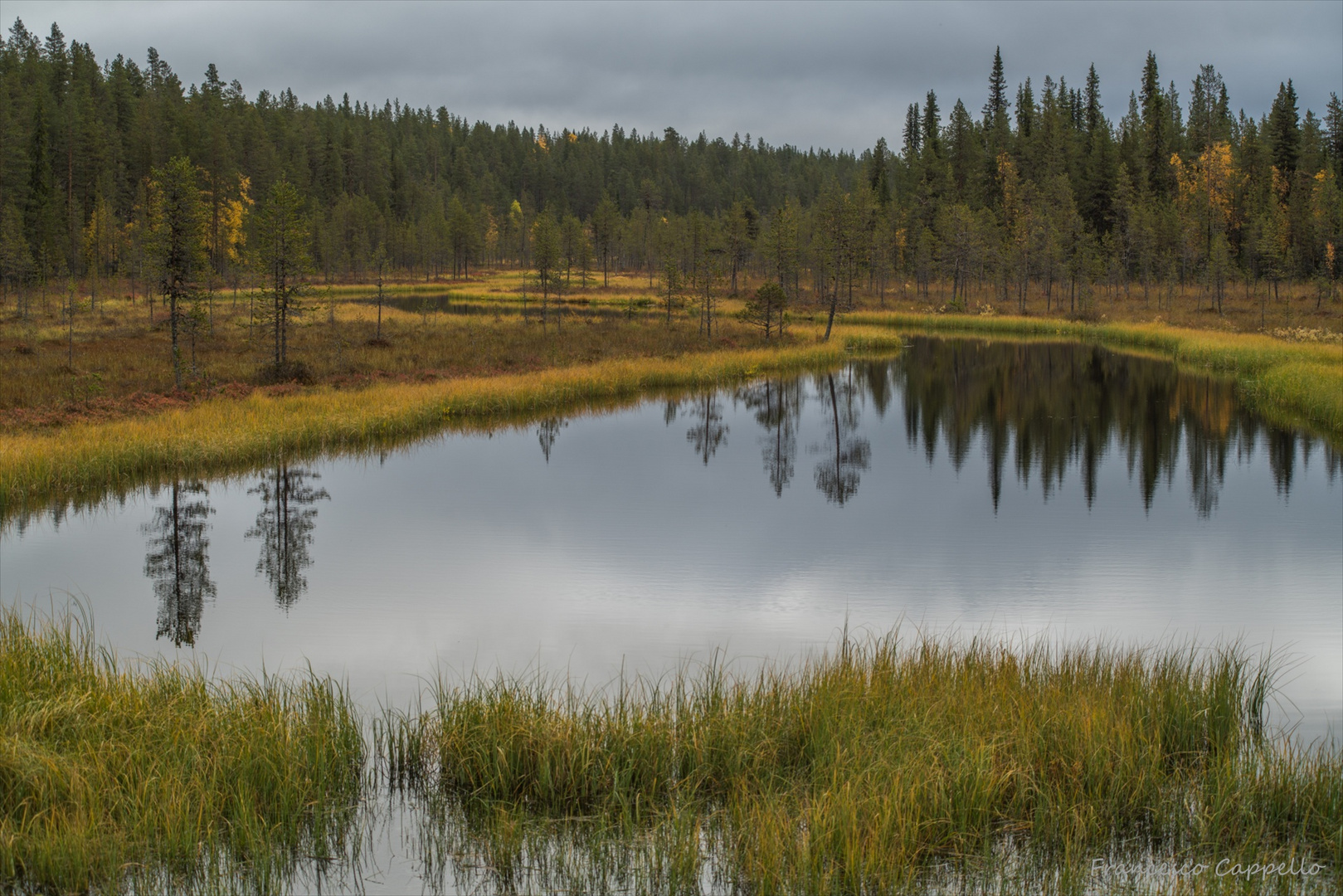 Särkijärvi, Nebensee