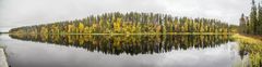 Särkijärvi Panorama