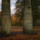 Säulen am Portikus im Herbst 