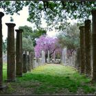 .... Säulen im " Antiken Olympia "....