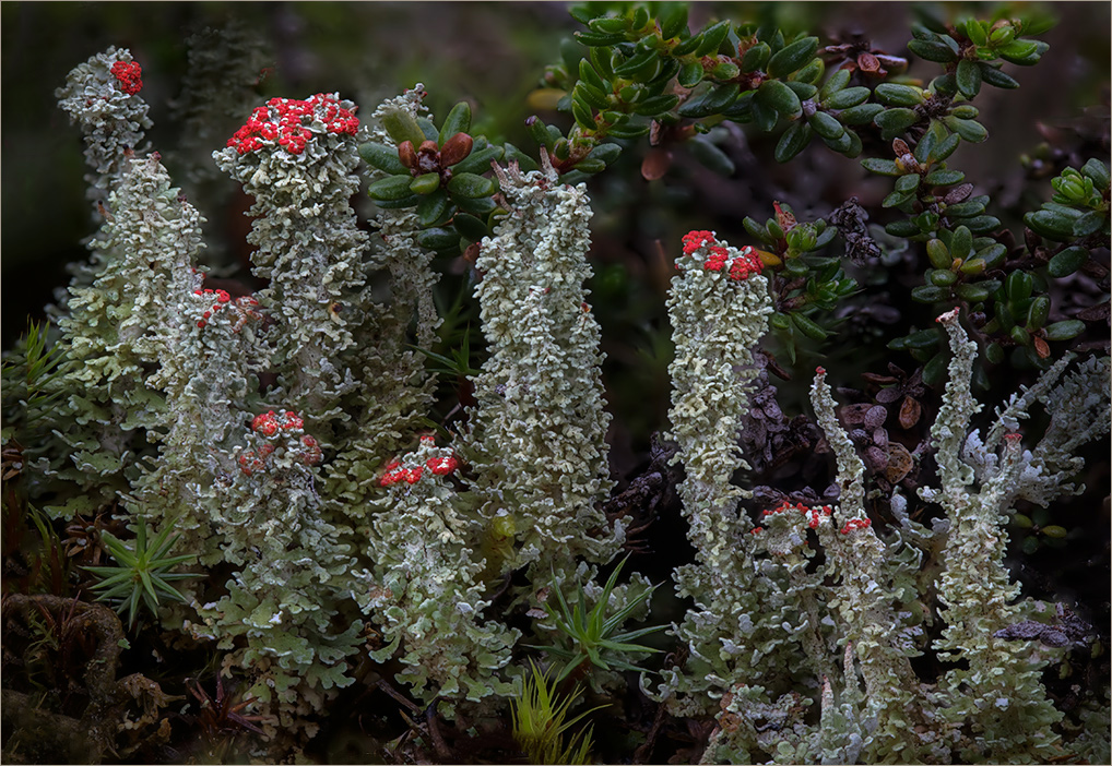 Säulen in Norwegen