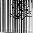 Säulen_Baum