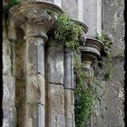 Säulendetail im Rock of Cashel, Irland
